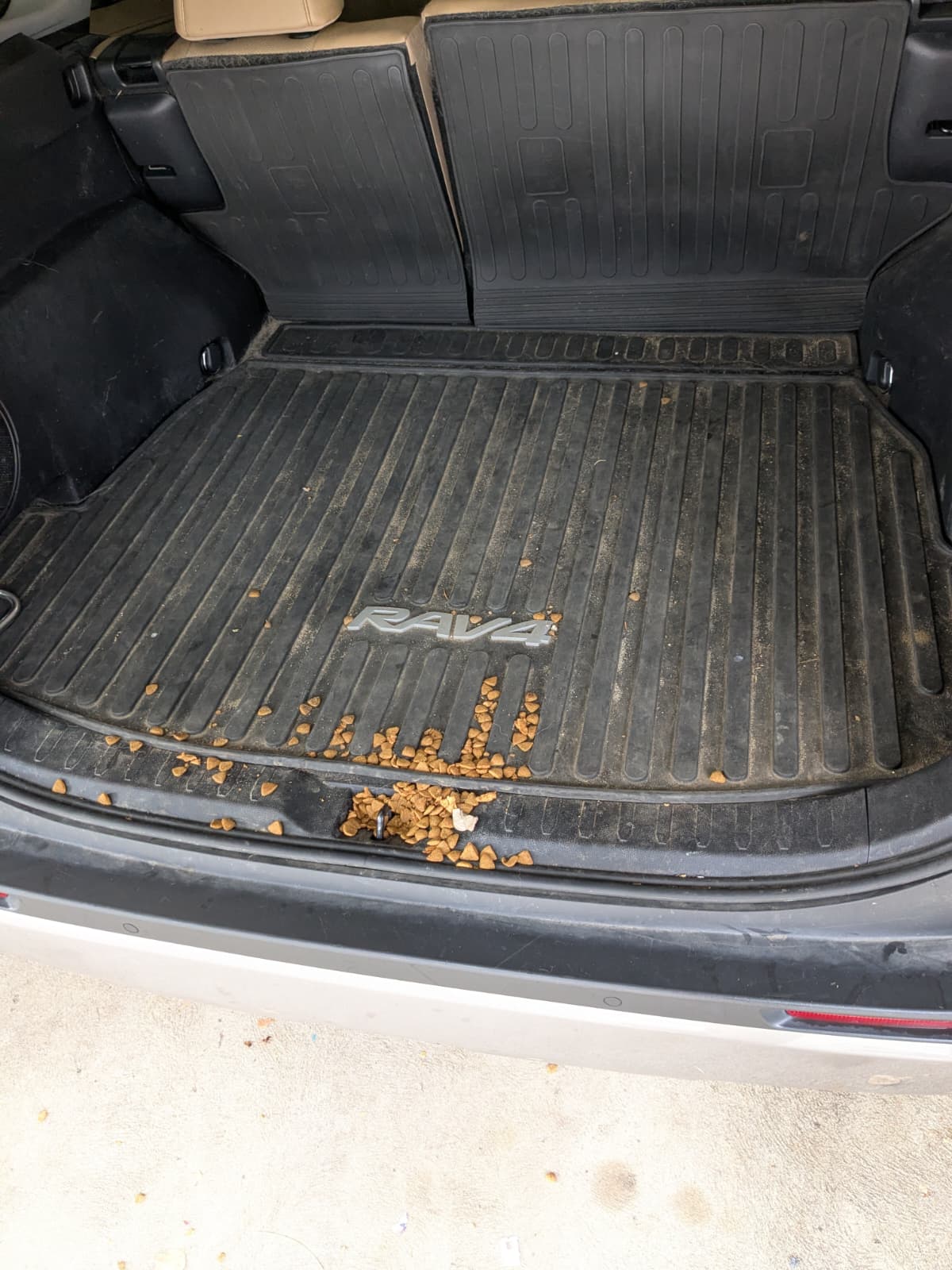 Toyota RAV4 trunk before detail — dog food and hair