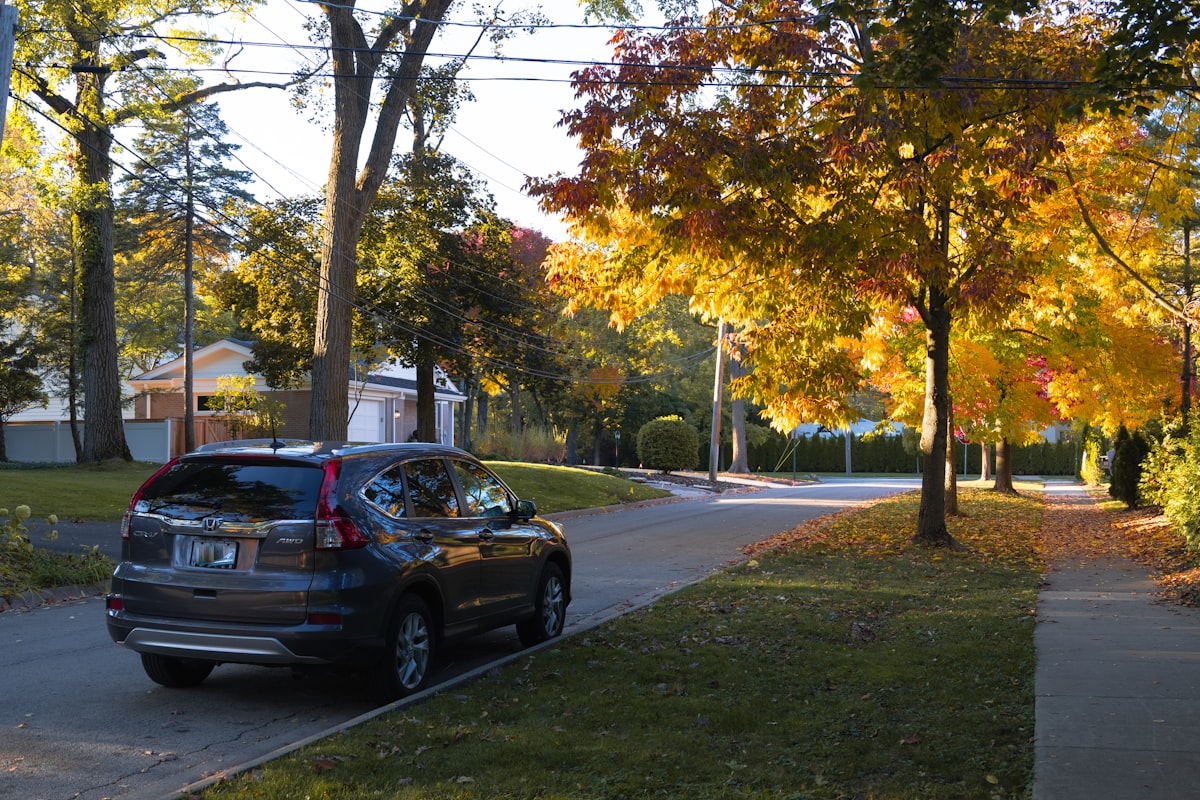 car detailing saratoga