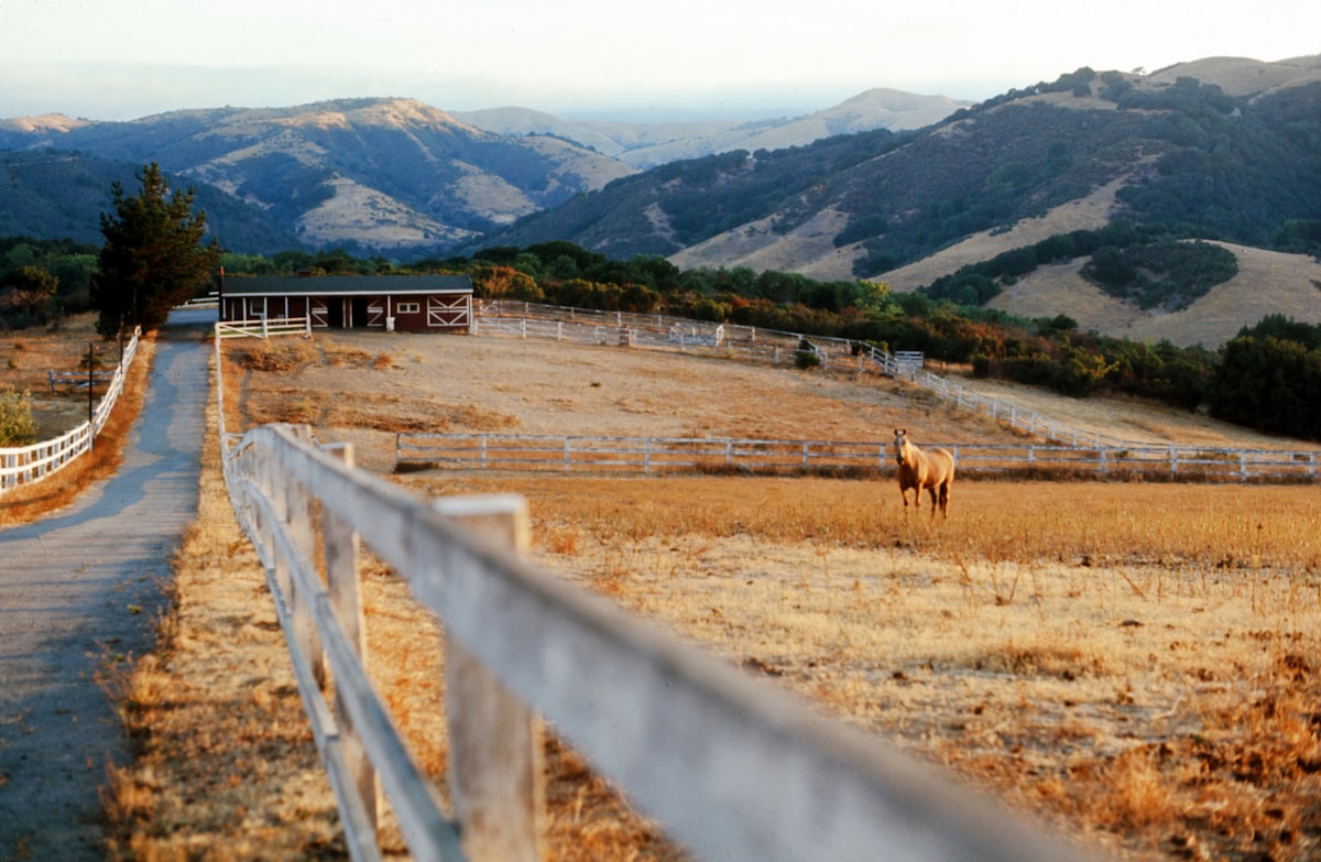 A white-fenced horse pasture in the Woodside hills with a barn and coastal foothills behind it